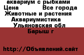 аквариум с рыбками › Цена ­ 1 000 - Все города Животные и растения » Аквариумистика   . Ульяновская обл.,Барыш г.